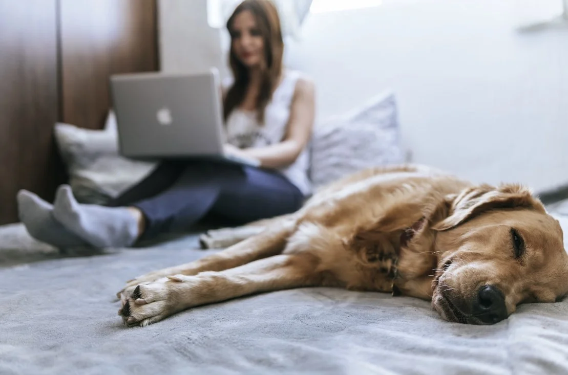 smart multifunctional bed